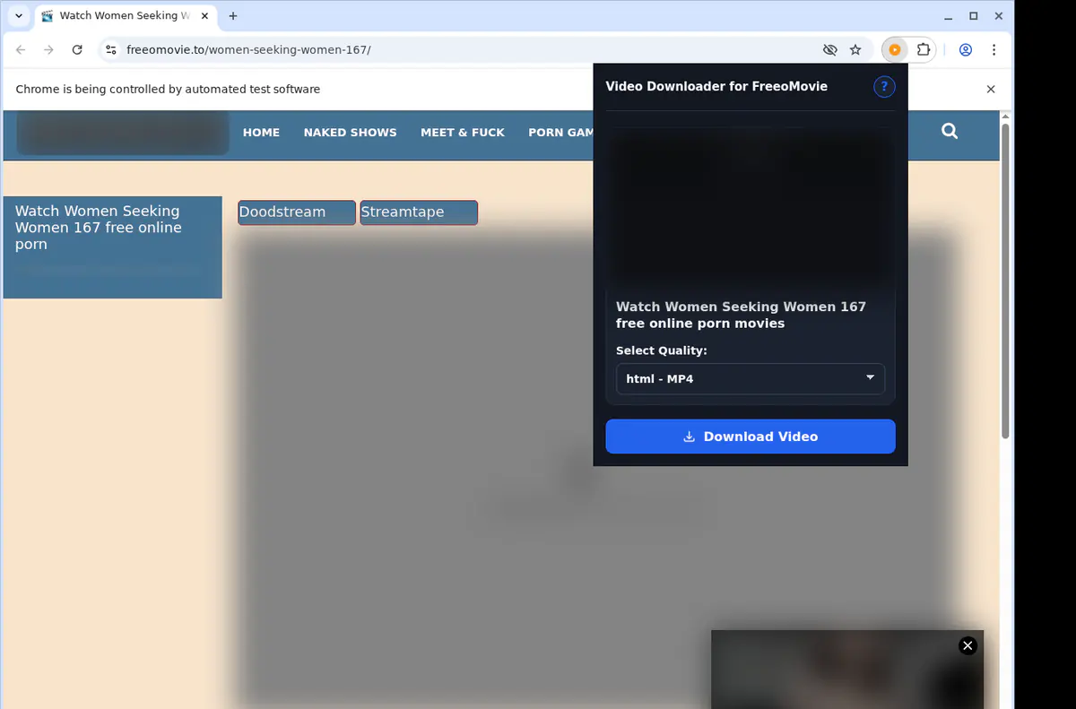Freeomovie Video Downloader browser extension screenshot 3